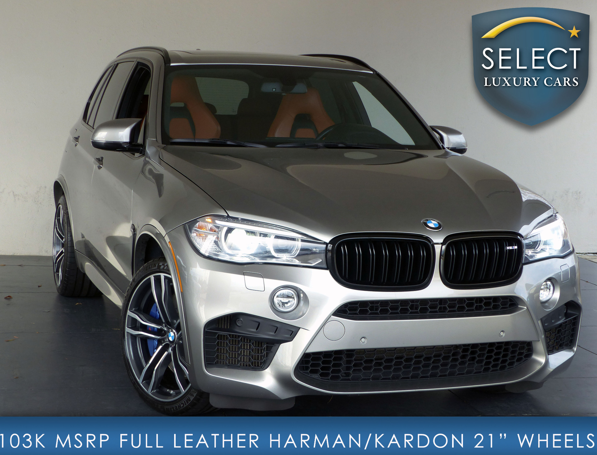 harman kardon bmw x5
